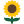 A bright yellow sunflower with a dark brown center.